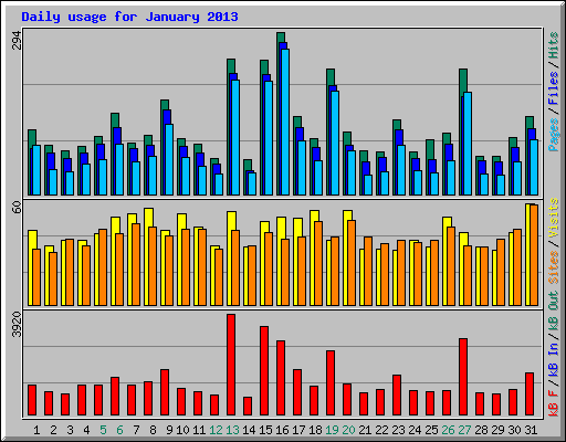 Daily usage for January 2013