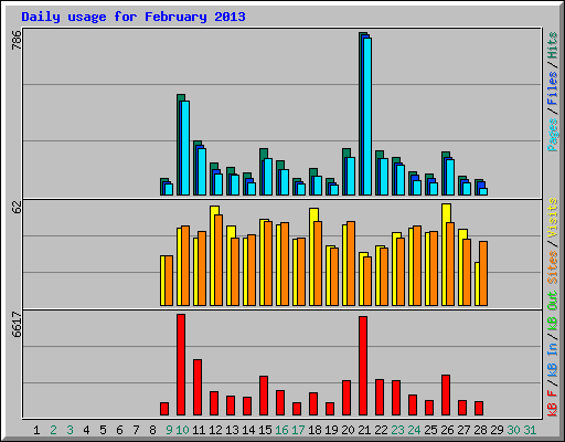 Daily usage for February 2013