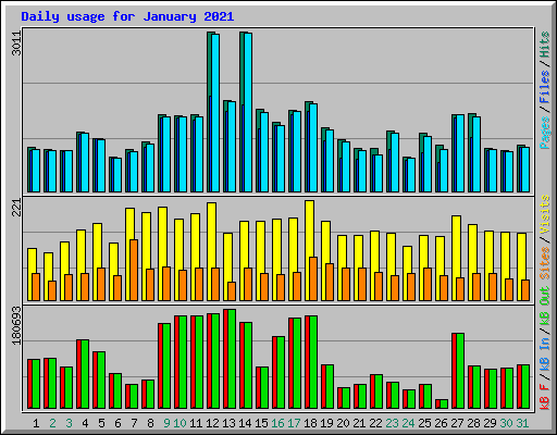 Daily usage for January 2021