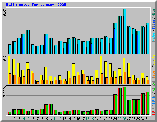 Daily usage for January 2025