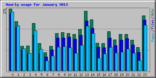 Hourly usage for January 2013