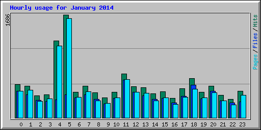 Hourly usage for January 2014