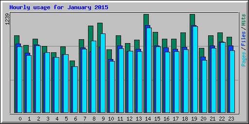 Hourly usage for January 2015