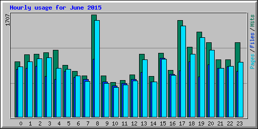 Hourly usage for June 2015