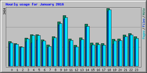 Hourly usage for January 2016