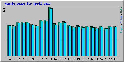 Hourly usage for April 2017
