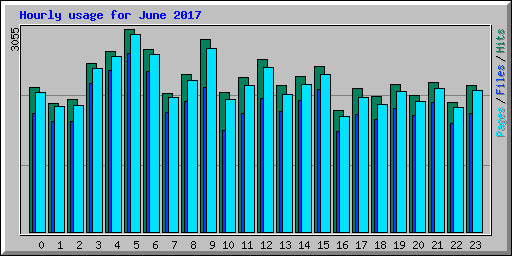Hourly usage for June 2017