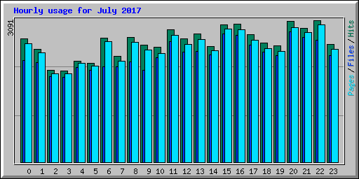 Hourly usage for July 2017