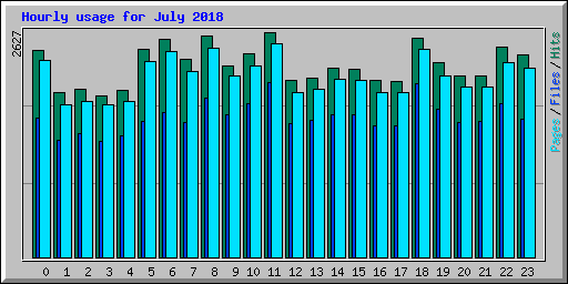 Hourly usage for July 2018