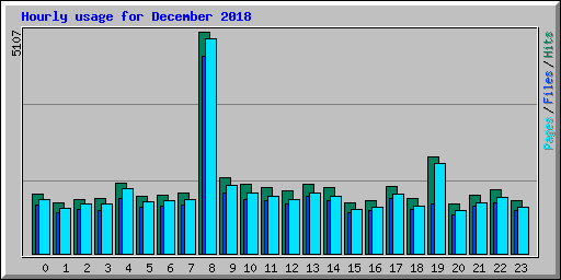 Hourly usage for December 2018