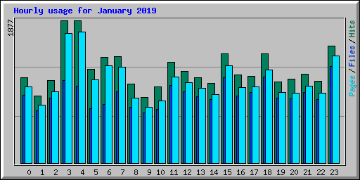 Hourly usage for January 2019