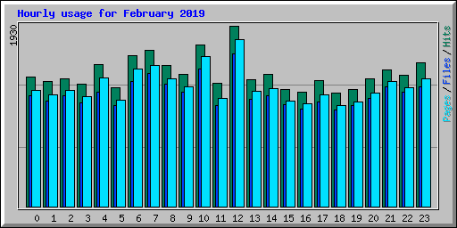 Hourly usage for February 2019
