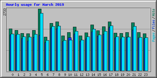 Hourly usage for March 2019