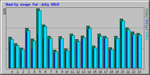Hourly usage for July 2019
