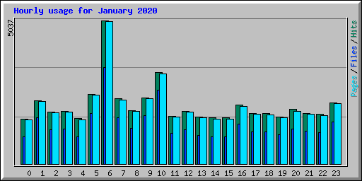 Hourly usage for January 2020