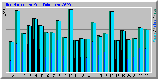Hourly usage for February 2020