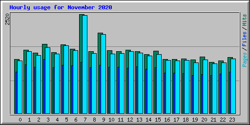 Hourly usage for November 2020
