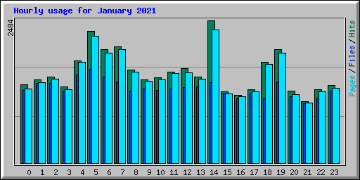 Hourly usage for January 2021