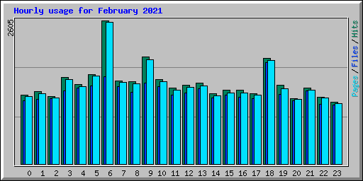 Hourly usage for February 2021