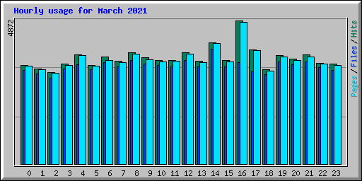 Hourly usage for March 2021