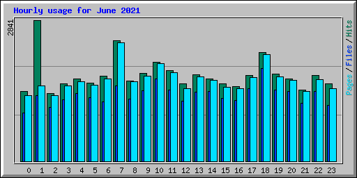 Hourly usage for June 2021