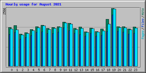 Hourly usage for August 2021