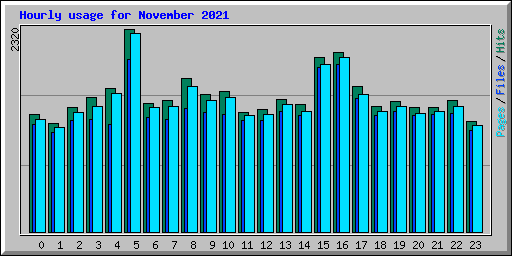 Hourly usage for November 2021