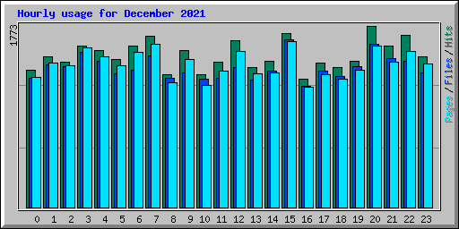 Hourly usage for December 2021