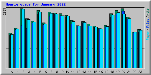 Hourly usage for January 2022