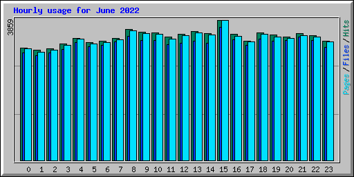 Hourly usage for June 2022
