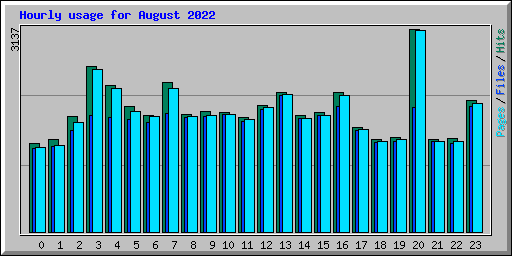 Hourly usage for August 2022