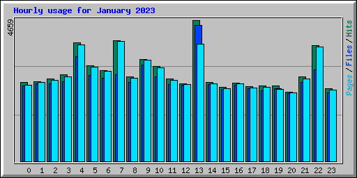 Hourly usage for January 2023
