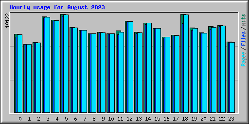 Hourly usage for August 2023