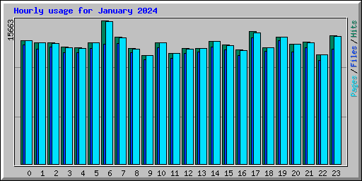 Hourly usage for January 2024