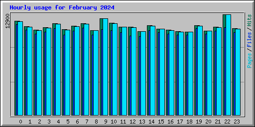 Hourly usage for February 2024