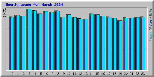Hourly usage for March 2024
