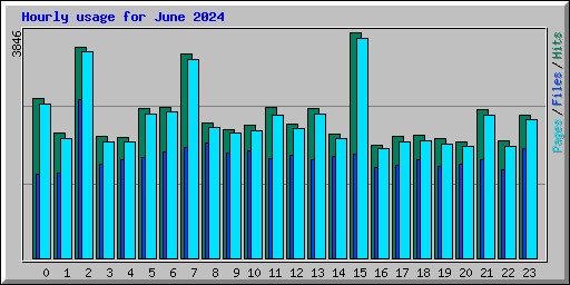 Hourly usage for June 2024