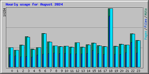 Hourly usage for August 2024