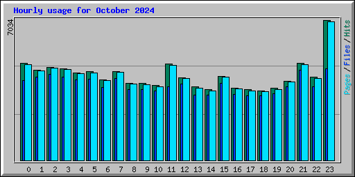 Hourly usage for October 2024