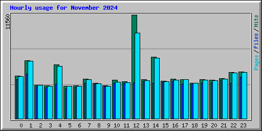 Hourly usage for November 2024
