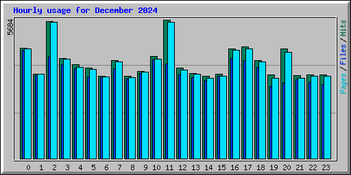 Hourly usage for December 2024
