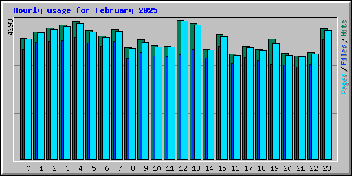 Hourly usage for February 2025