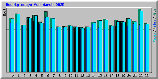 Hourly usage for March 2025